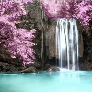 Meet your Posher, Leticia